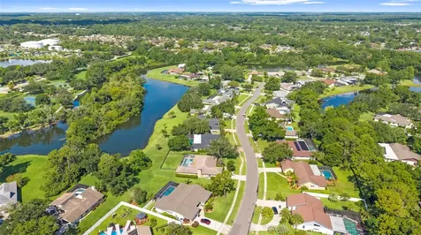 4308 Middle Lake Drive Tampa FL 33624