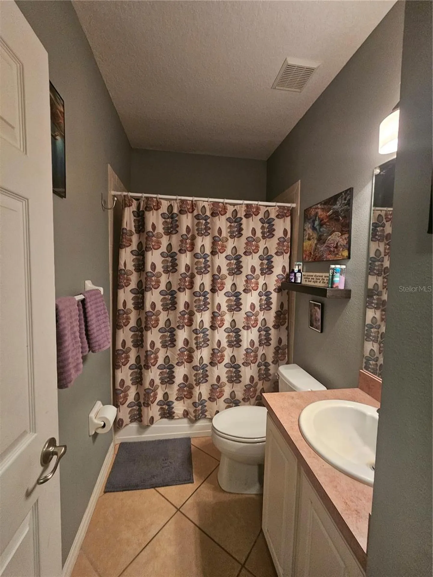 25147 Ironwedge Drive Sorrento FL 32776