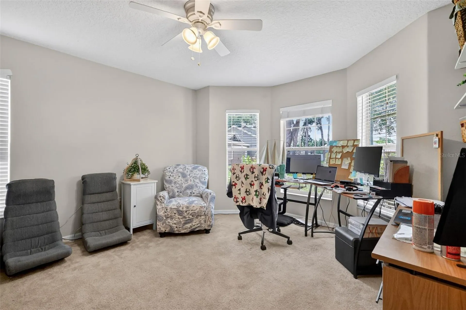 4215 Williams Street Fruitland Park FL 34731