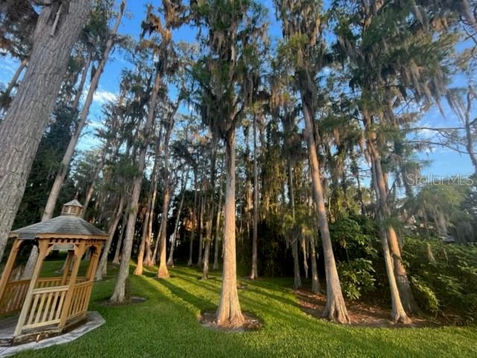 9616 Midiron Court New Port Richey FL 34655