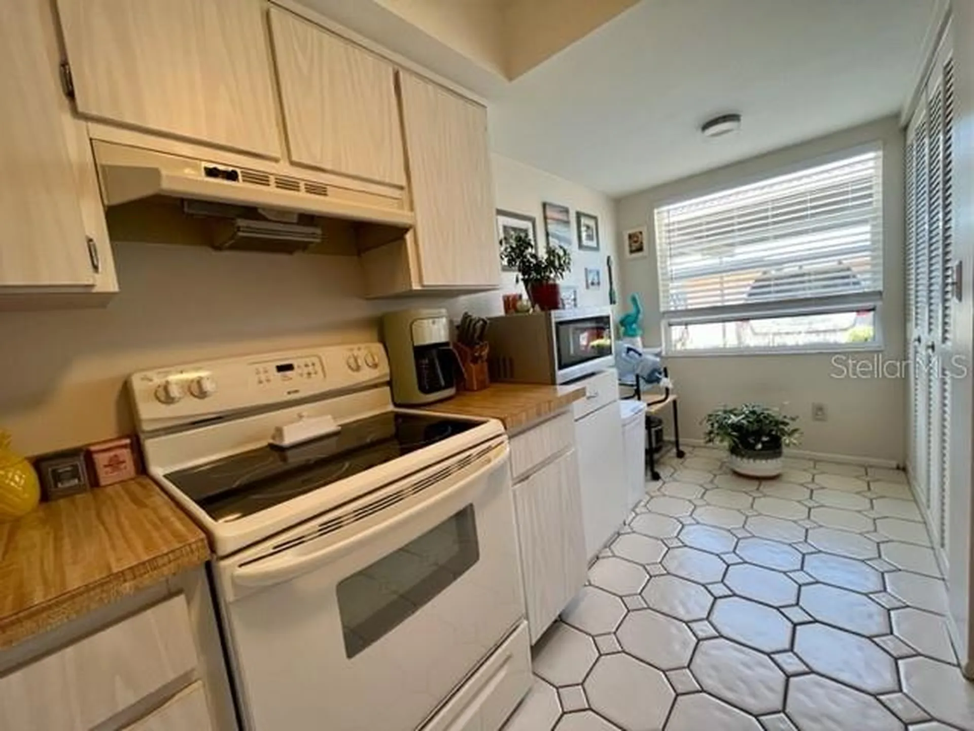 9616 Midiron Court New Port Richey FL 34655