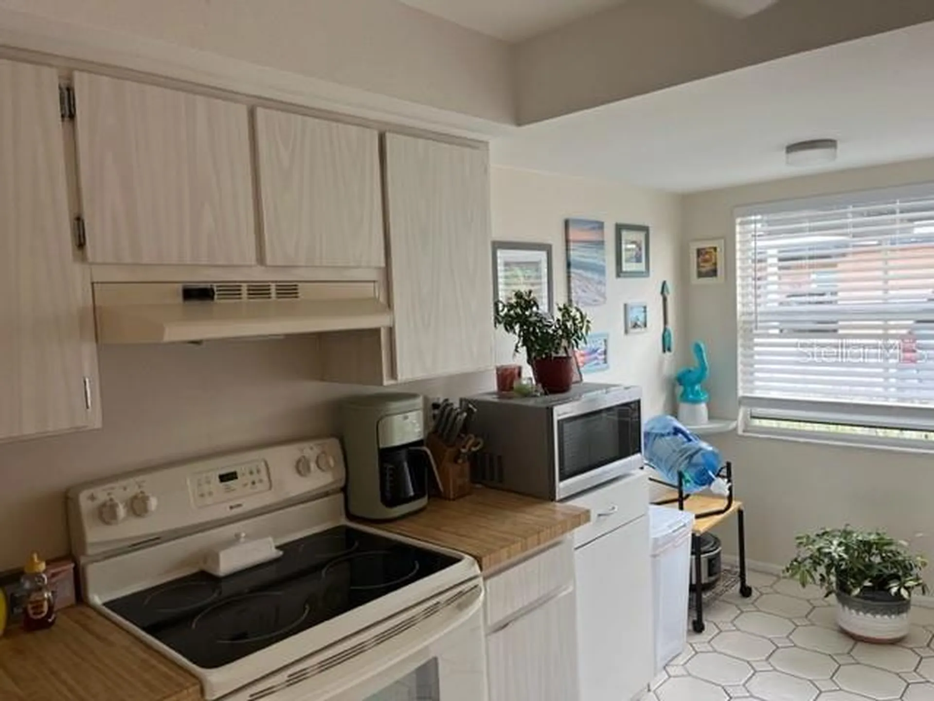 9616 Midiron Court New Port Richey FL 34655