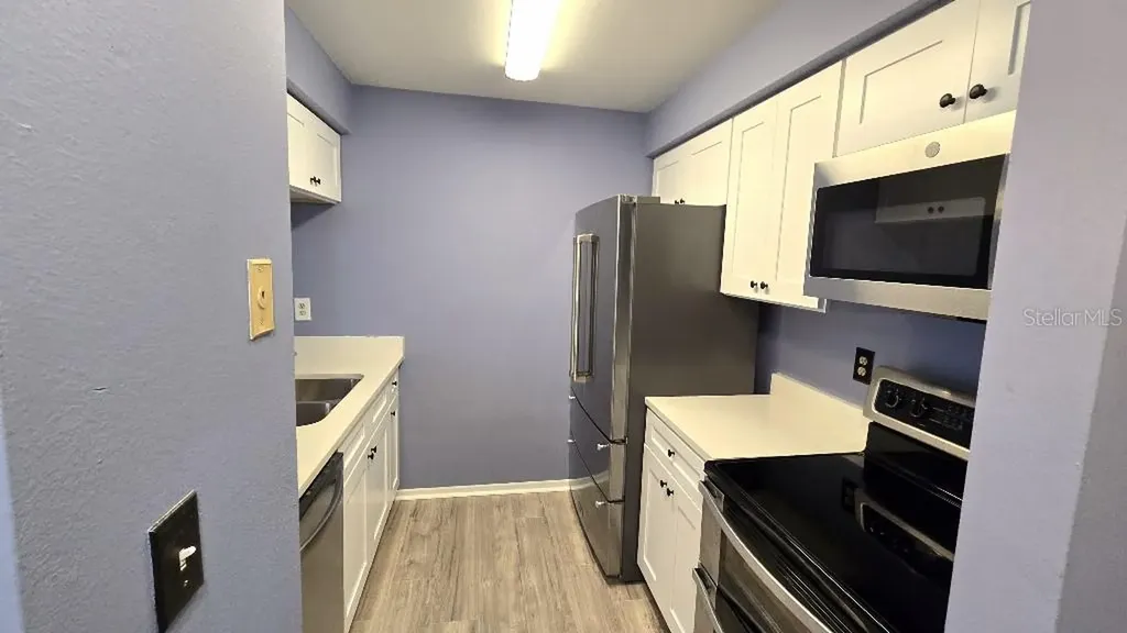 4034 Dream Oak Place Tampa FL 33613