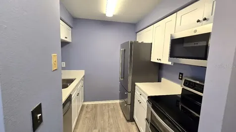 4034 Dream Oak Place Tampa FL 33613