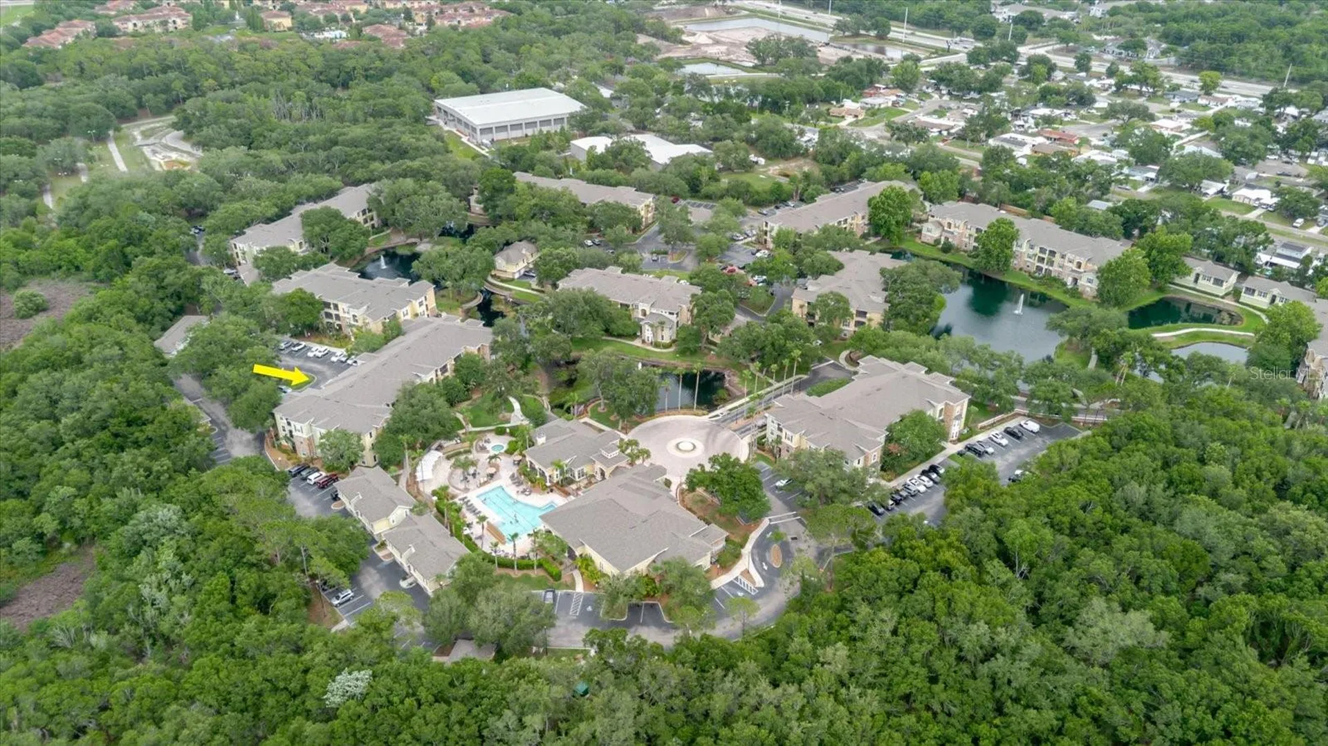 10019 Courtney Palms Boulevard Tampa FL 33619