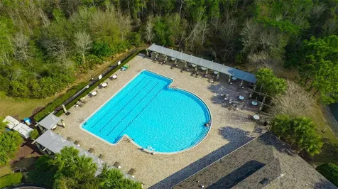 31973 Mardelle Place Wesley Chapel FL 33543