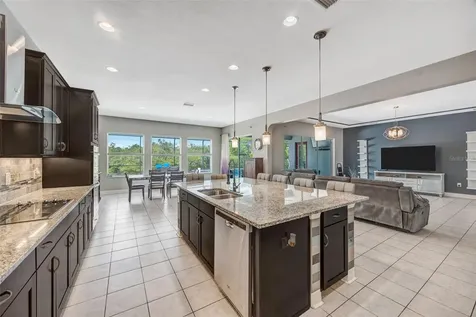 31973 Mardelle Place Wesley Chapel FL 33543