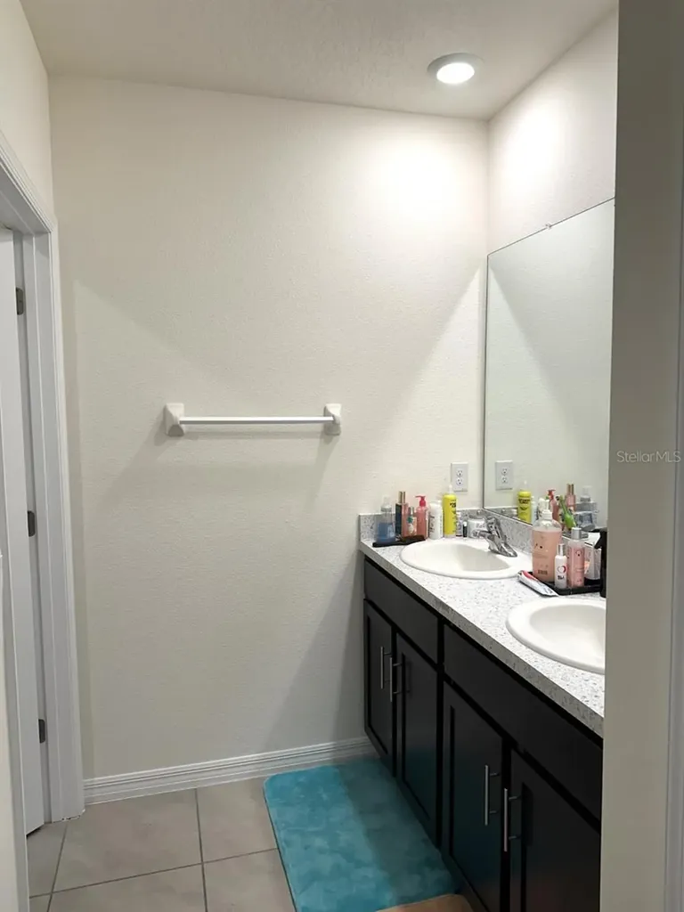 34106 Sorrel Mint Drive Wesley Chapel FL 33543