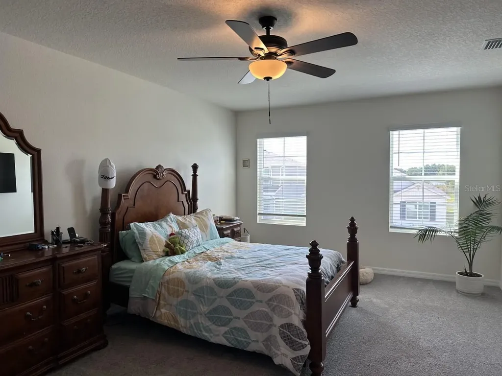 34106 Sorrel Mint Drive Wesley Chapel FL 33543