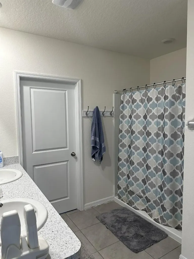 34106 Sorrel Mint Drive Wesley Chapel FL 33543
