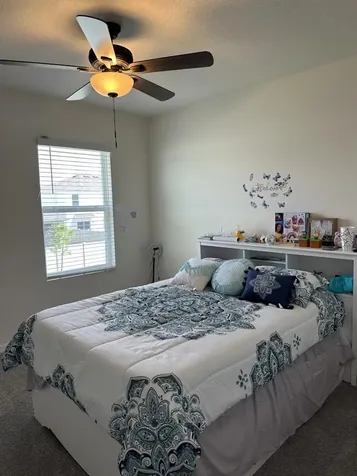34106 Sorrel Mint Drive Wesley Chapel FL 33543