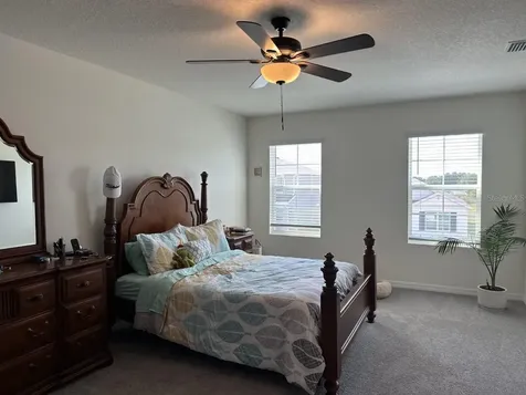 34106 Sorrel Mint Drive Wesley Chapel FL 33543