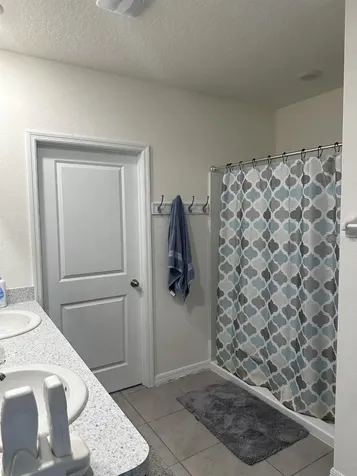 34106 Sorrel Mint Drive Wesley Chapel FL 33543
