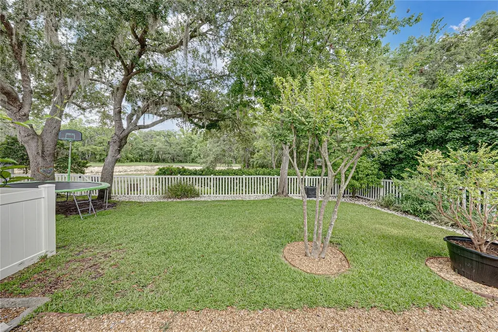 1808 Tangledvine Drive Wesley Chapel FL 33543