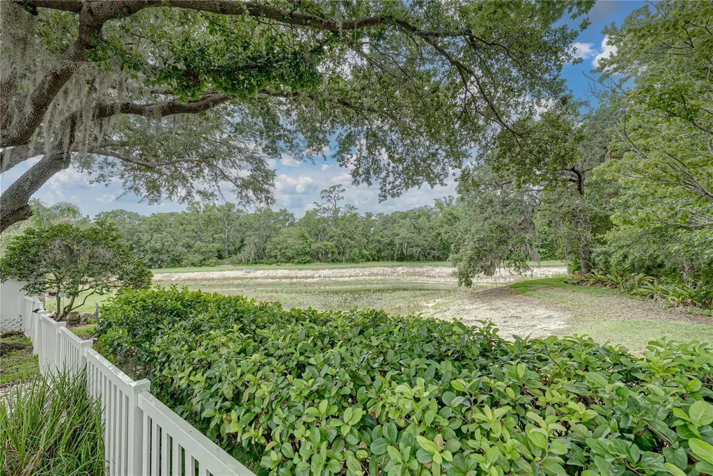 1808 Tangledvine Drive Wesley Chapel FL 33543
