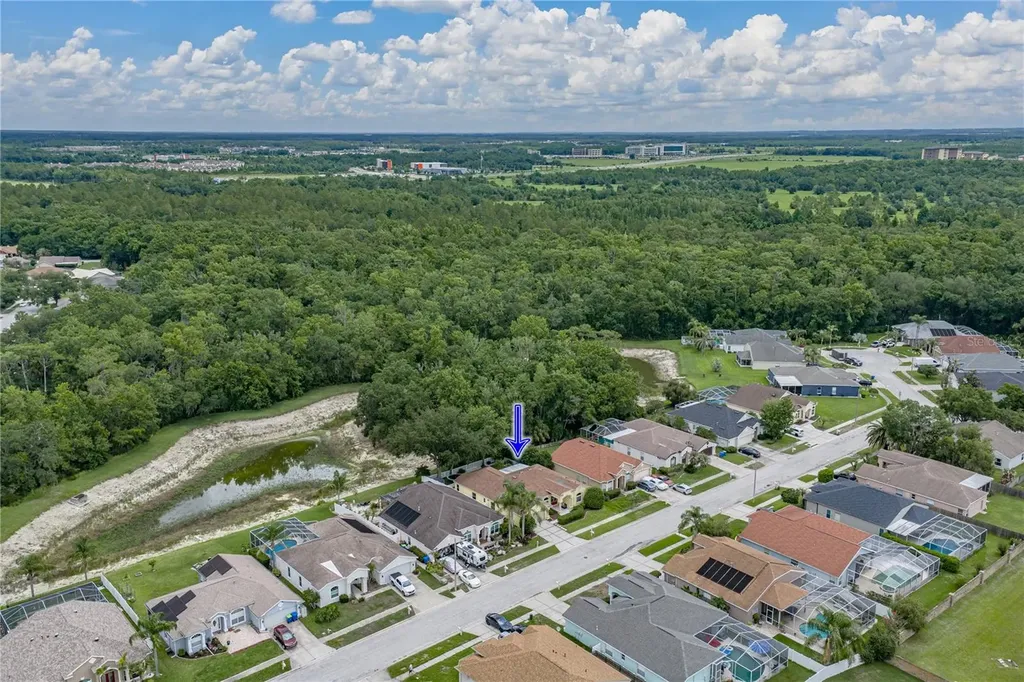 1808 Tangledvine Drive Wesley Chapel FL 33543