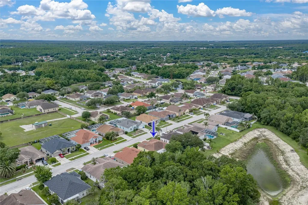1808 Tangledvine Drive Wesley Chapel FL 33543
