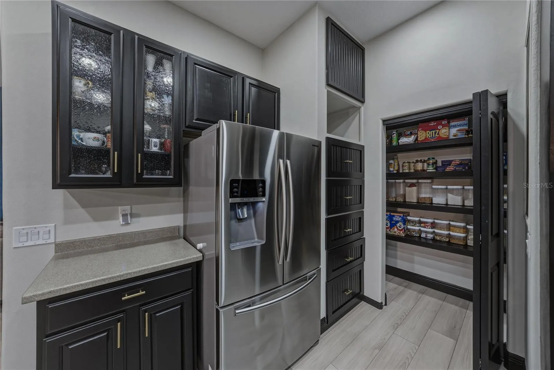 1808 Tangledvine Drive Wesley Chapel FL 33543