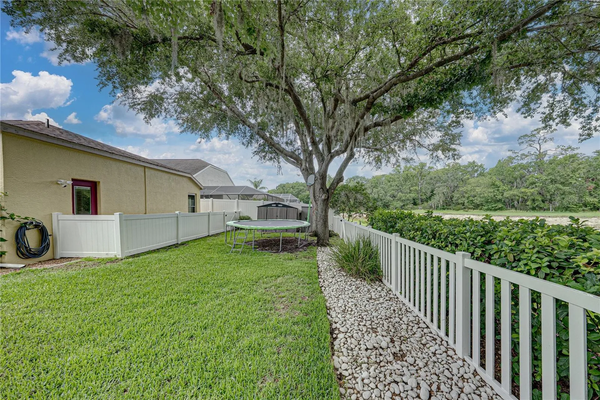 1808 Tangledvine Drive Wesley Chapel FL 33543