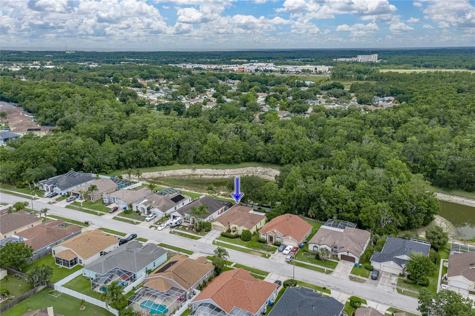 1808 Tangledvine Drive Wesley Chapel FL 33543