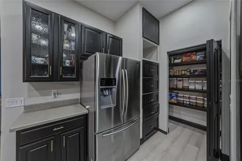 1808 Tangledvine Drive Wesley Chapel FL 33543