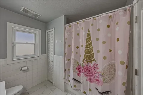 1808 Tangledvine Drive Wesley Chapel FL 33543