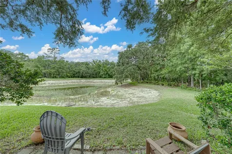 1808 Tangledvine Drive Wesley Chapel FL 33543