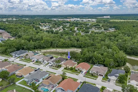 1808 Tangledvine Drive Wesley Chapel FL 33543