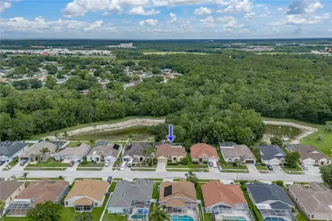 1808 Tangledvine Drive Wesley Chapel FL 33543
