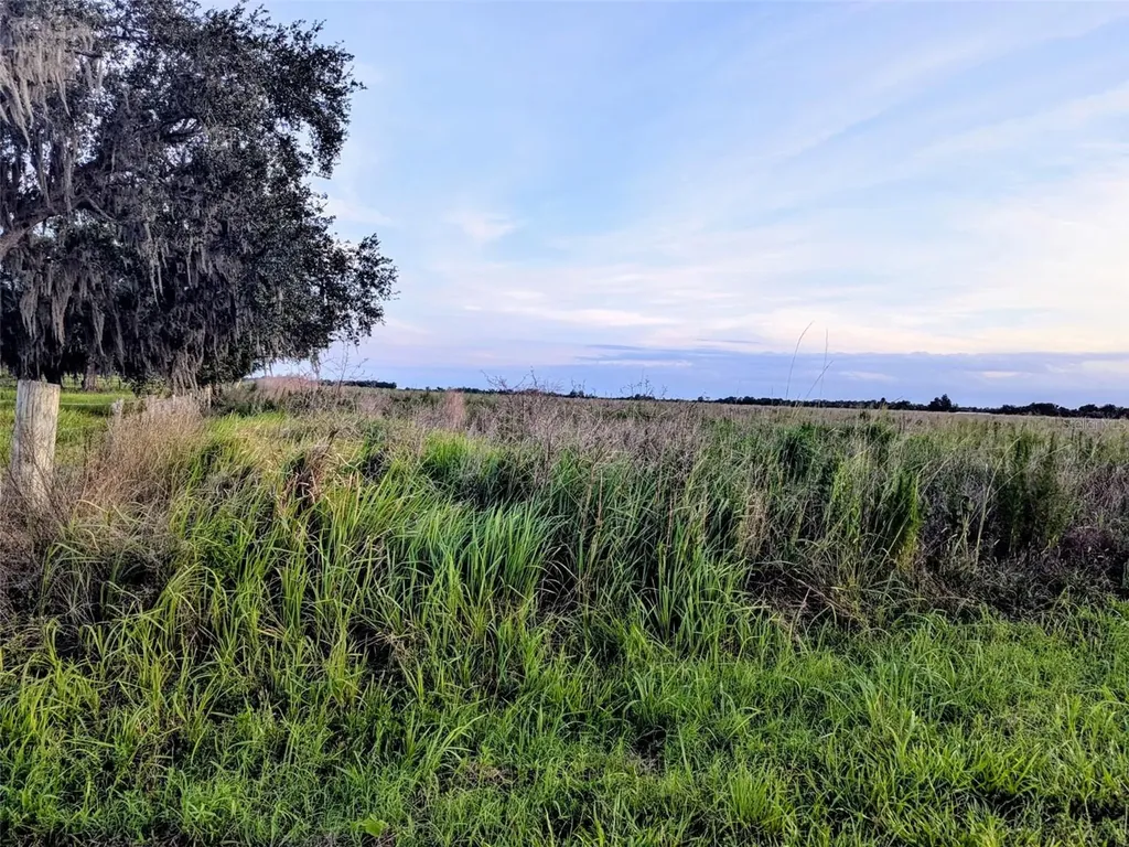 Tom Bryan Road Zolfo Springs FL 33890