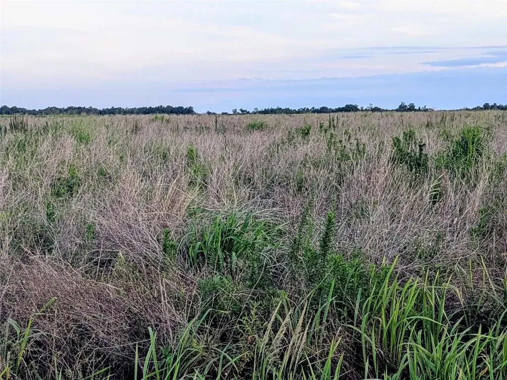 Tom Bryan Road Zolfo Springs FL 33890