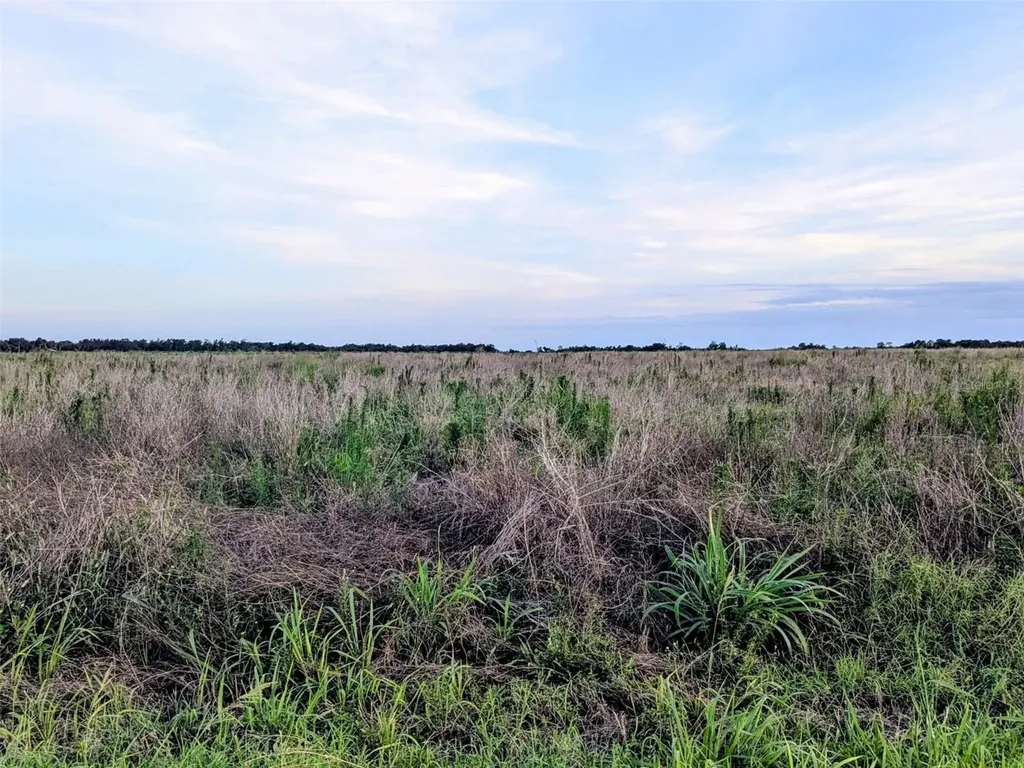 Tom Bryan Road Zolfo Springs FL 33890