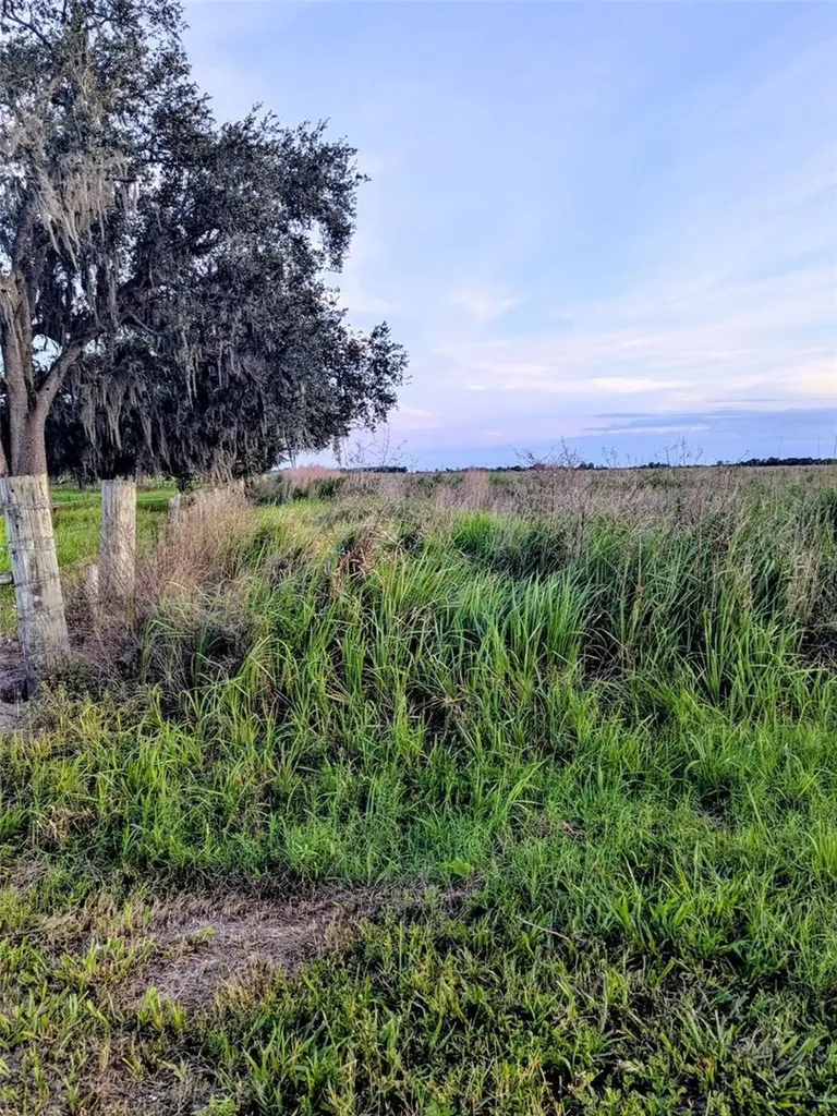 Tom Bryan Road Zolfo Springs FL 33890