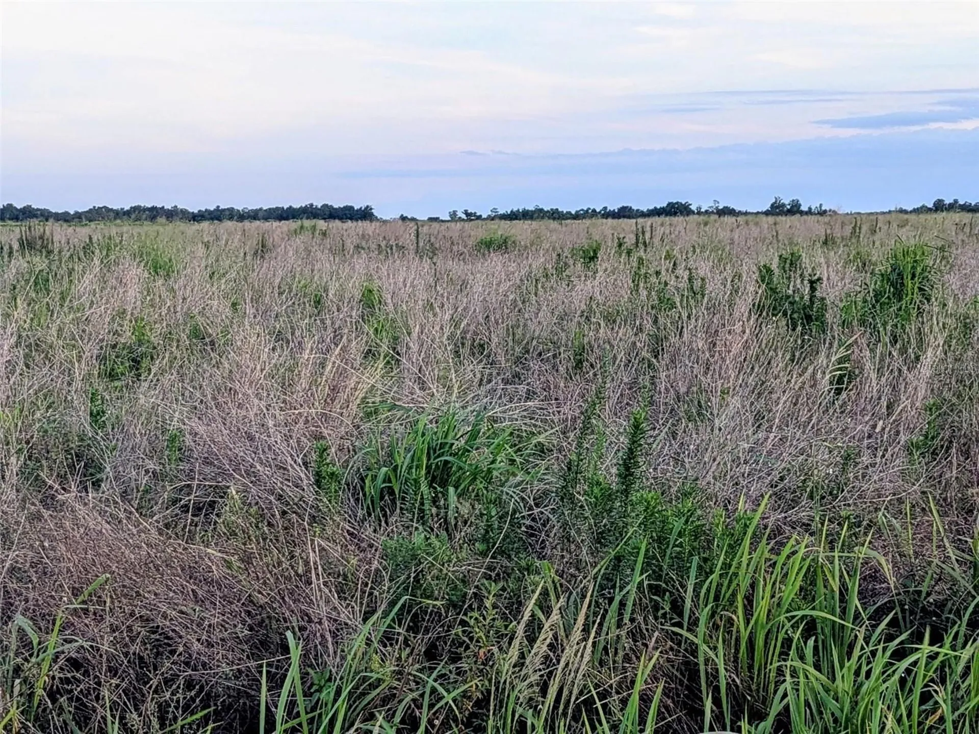 Tom Bryan Road Zolfo Springs FL 33890