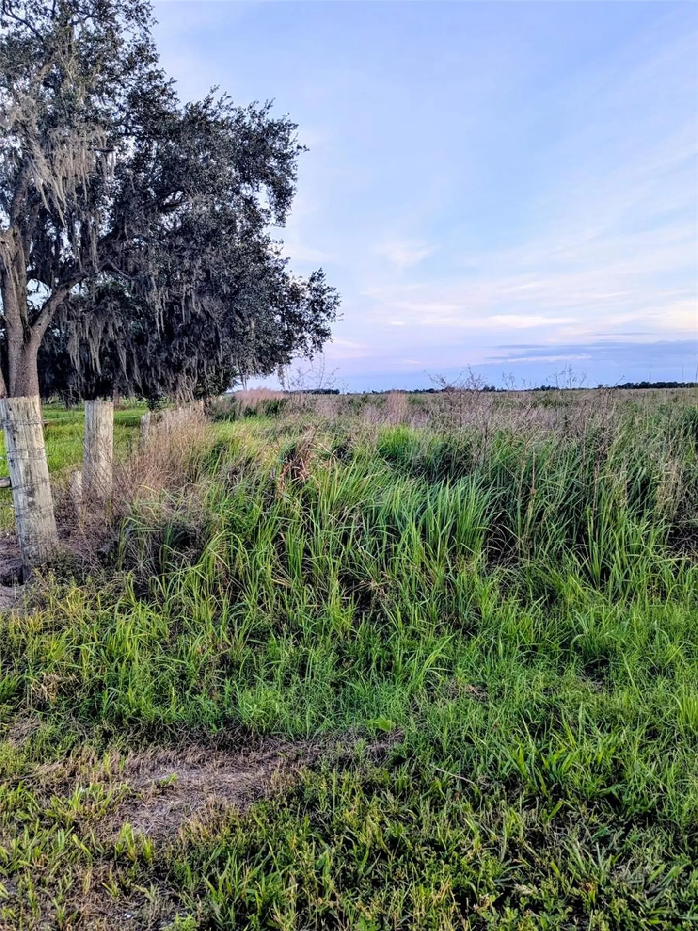 Tom Bryan Road Zolfo Springs FL 33890