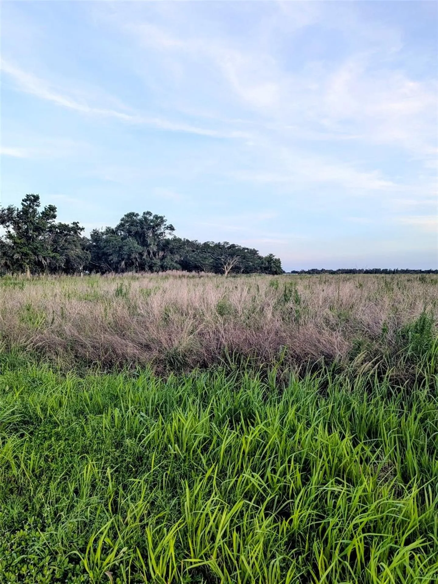 Tom Bryan Road Zolfo Springs FL 33890