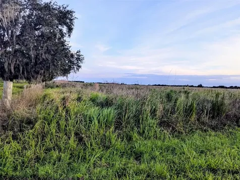 Tom Bryan Road Zolfo Springs FL 33890