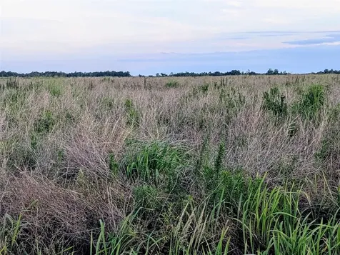 Tom Bryan Road Zolfo Springs FL 33890