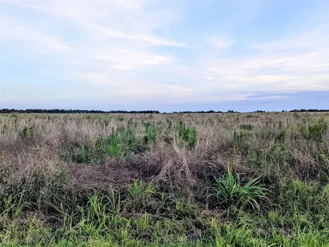 Tom Bryan Road Zolfo Springs FL 33890