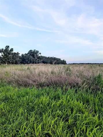 Tom Bryan Road Zolfo Springs FL 33890