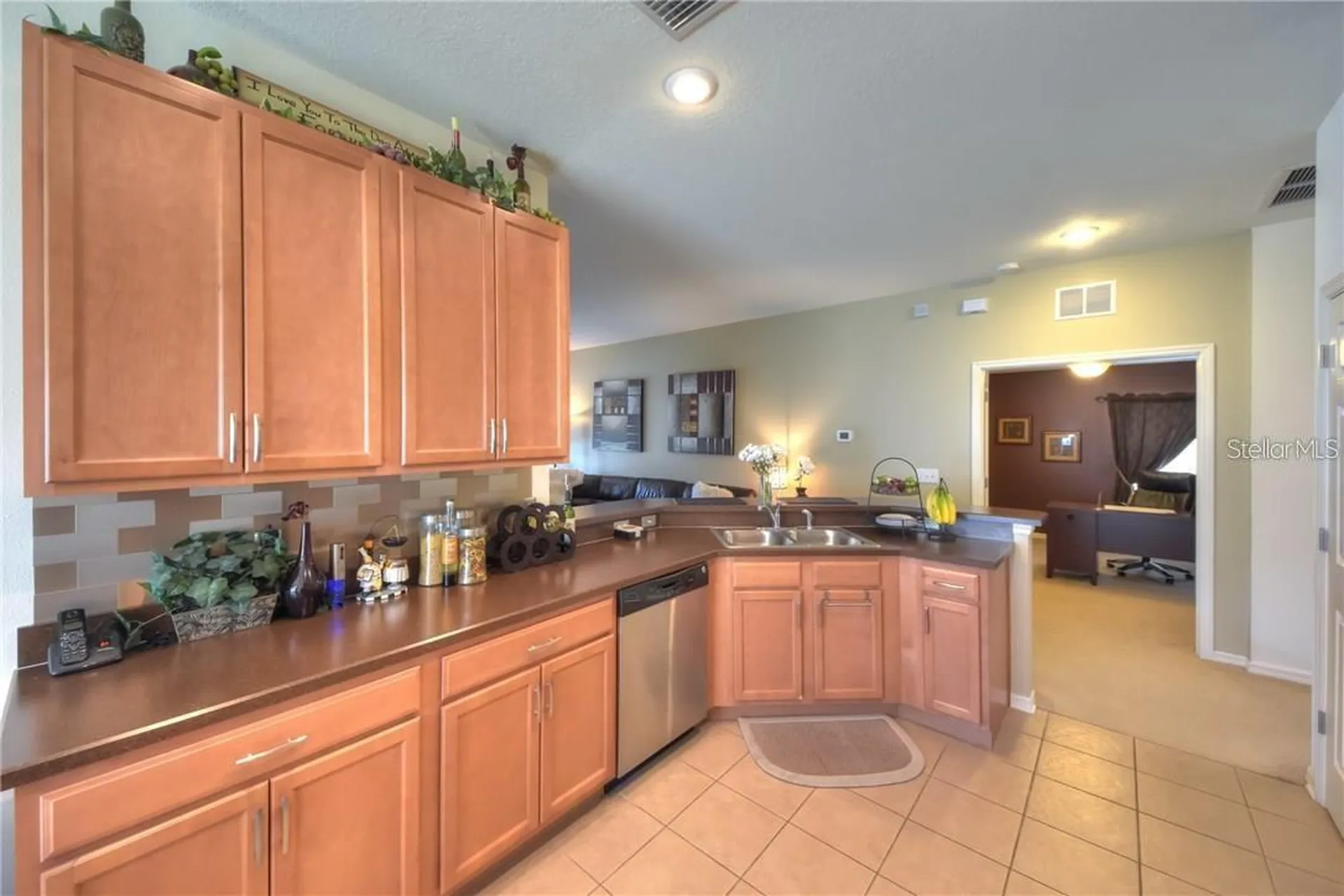 11355 Flora Springs Drive Riverview FL 33579
