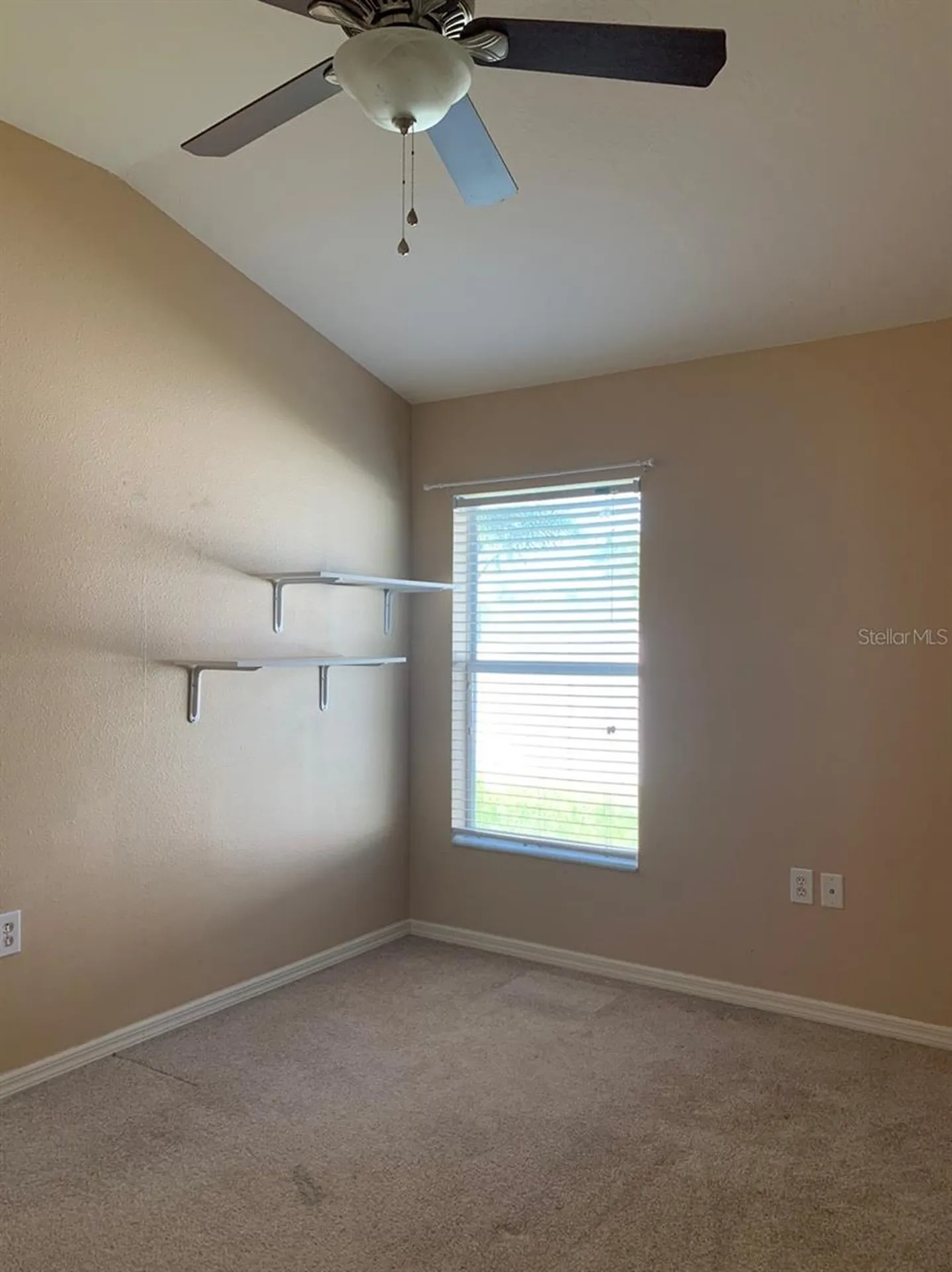 11355 Flora Springs Drive Riverview FL 33579