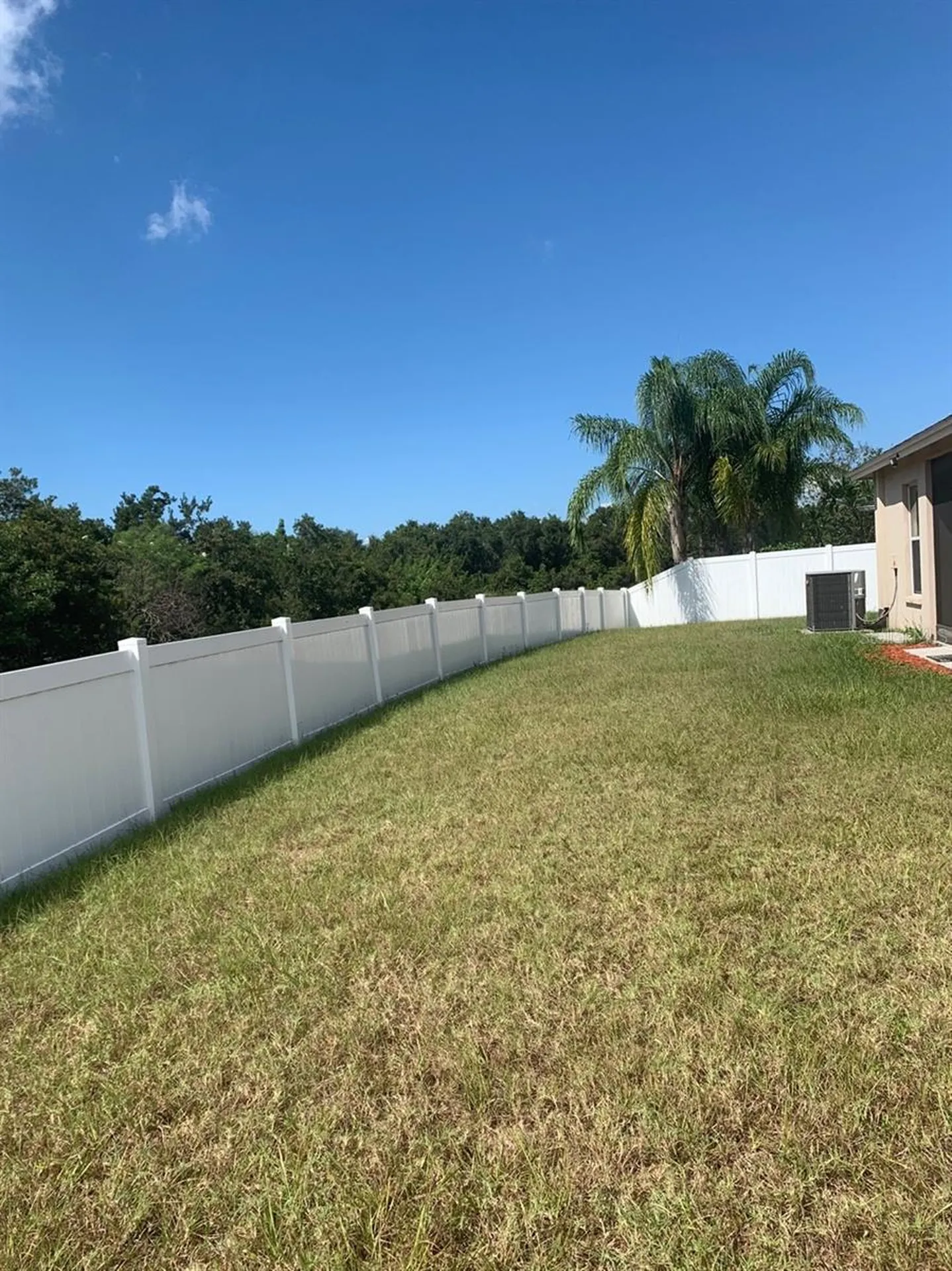 11355 Flora Springs Drive Riverview FL 33579