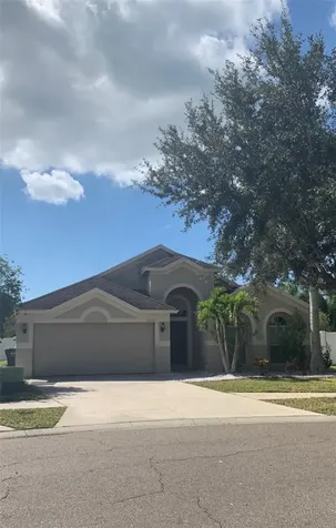 11355 Flora Springs Drive Riverview FL 33579