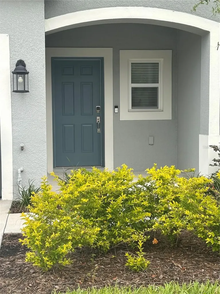 2358 Paravane Way Wesley Chapel FL 33543