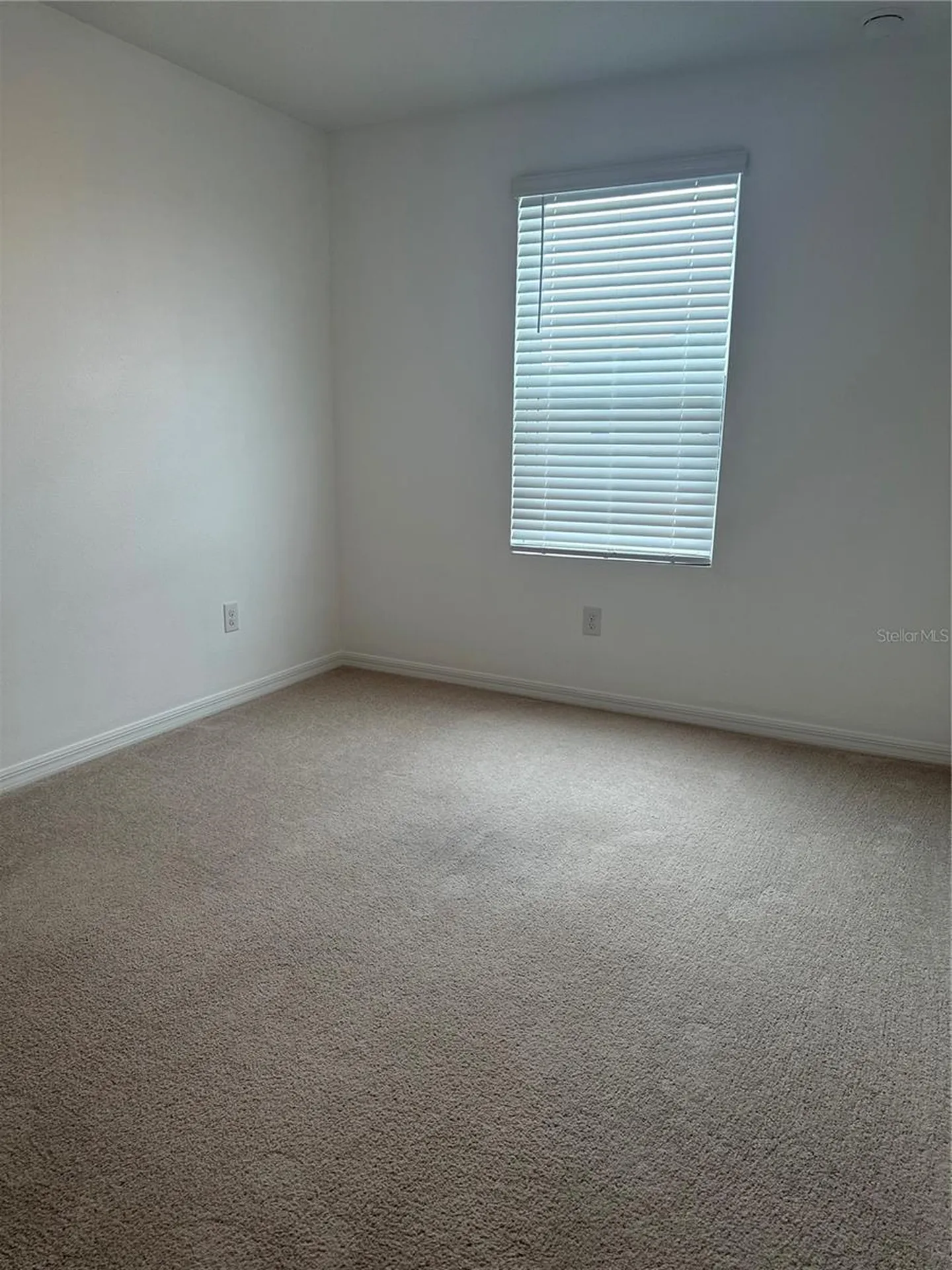 2358 Paravane Way Wesley Chapel FL 33543