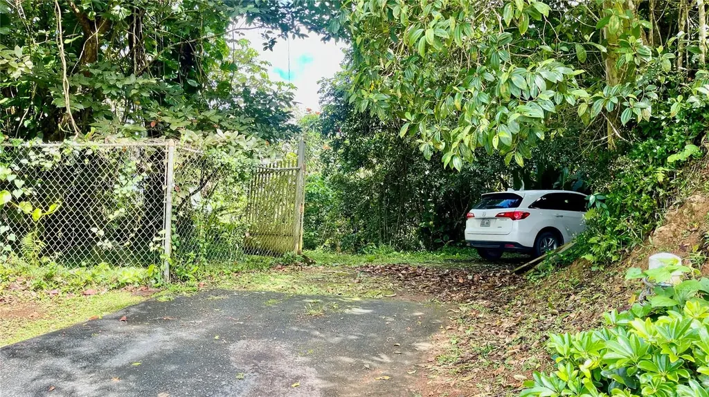 718 Bo. Pasto Road Aibonito PR 00705