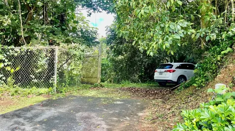 718 Bo. Pasto Road Aibonito PR 00705