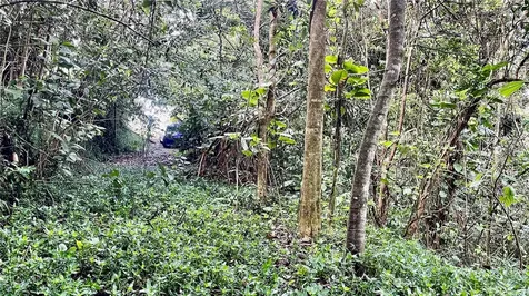 718 Bo. Pasto Road Aibonito PR 00705