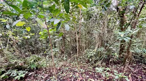 718 Bo. Pasto Road Aibonito PR 00705